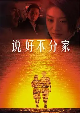 重温温暖家庭情感:说好不分家的动人故事