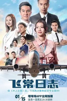 飞常日志国语版:日常飞行中的感人故事