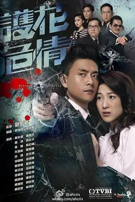 《护花危情国语》:贴身保镖的甜蜜守护,爱与危险并存的浪漫故事